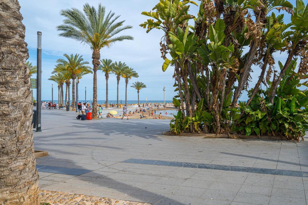Casa Terra: Apartment 50 Meters From The Beach Torrevieja Exteriör bild